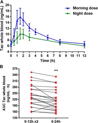 Influence of the Circadian Timing System on Tacrolimus Pharmacokinetics and Pharmacodynamics After Kidney Transplantation